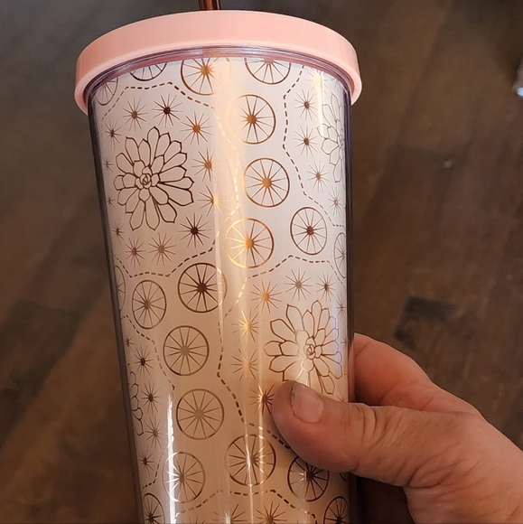 Starbucks Cactus Rose Gold HTF Succulent - Picture 1 of 2